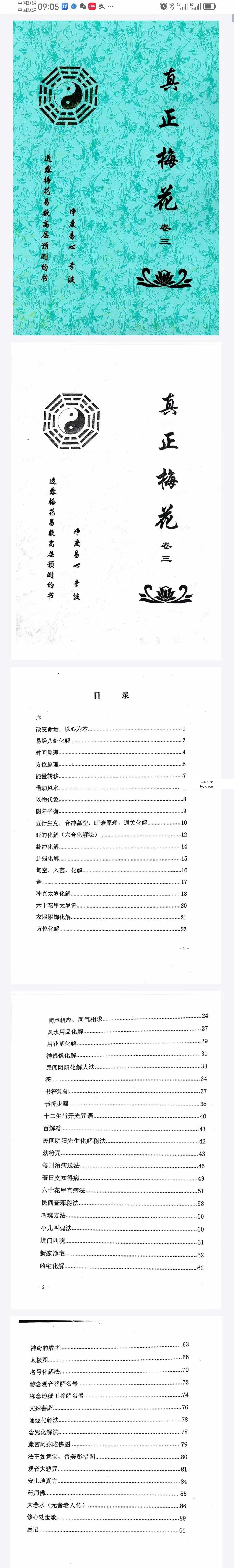 净度易心 李液《真正梅花》《阴阳梅花》 资料图片