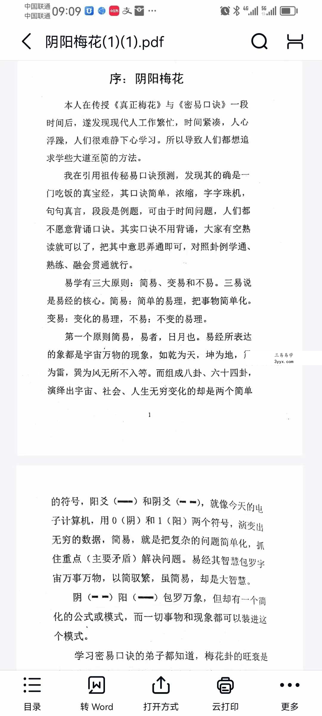 净度易心 李液《真正梅花》《阴阳梅花》 资料图片
