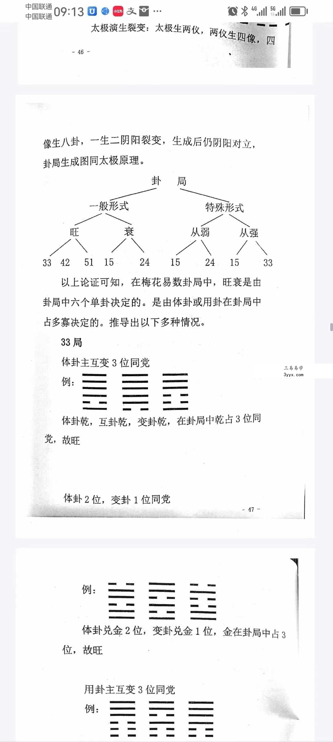 净度易心 李液《真正梅花》《阴阳梅花》 资料图片