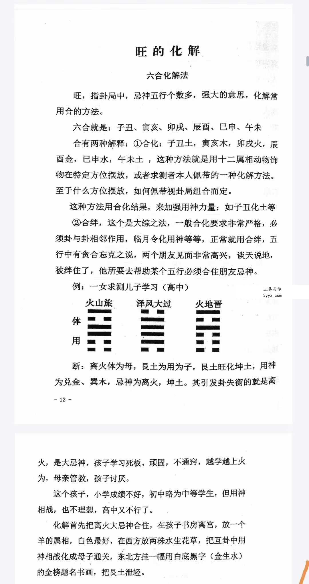净度易心 李液《真正梅花》《阴阳梅花》 资料图片