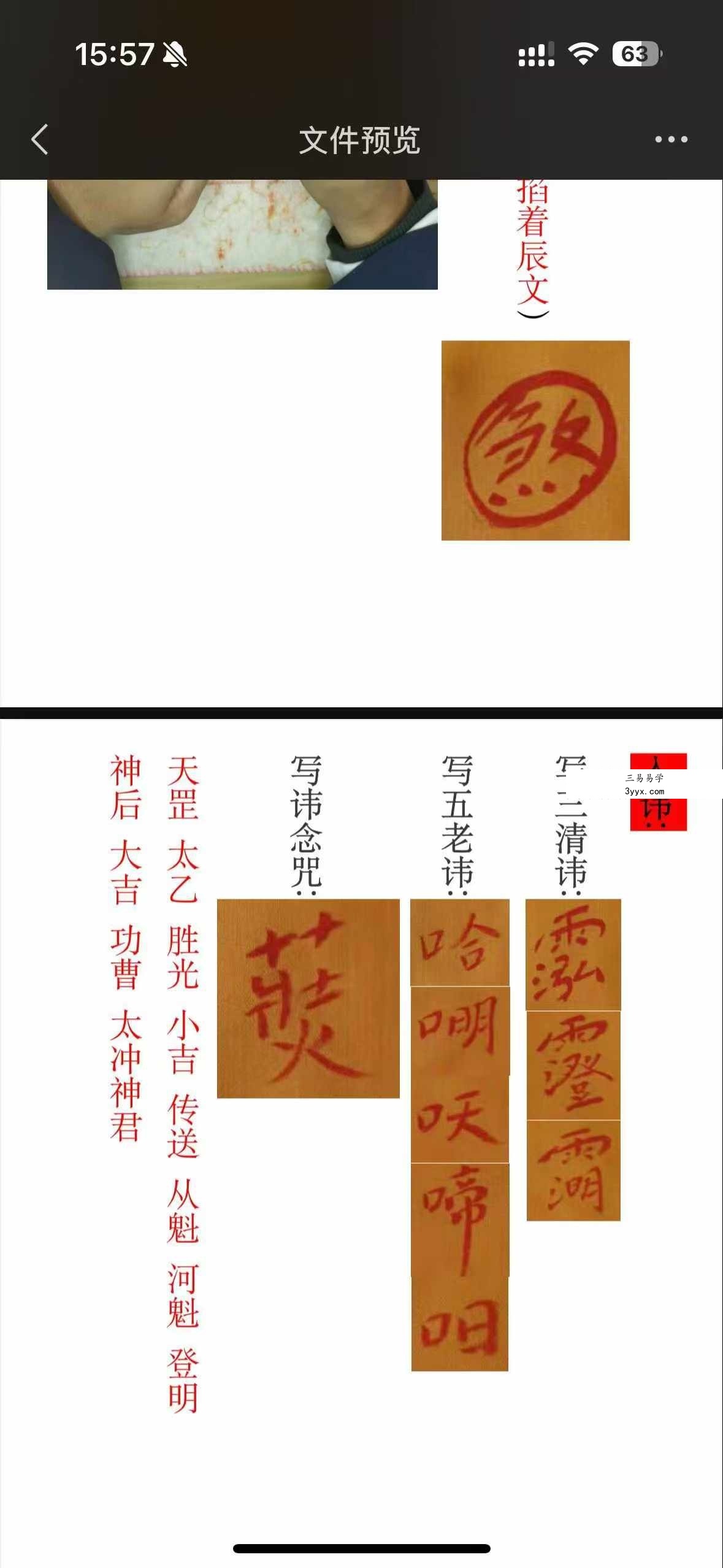 正一天师符箓秘法103页 资料图片