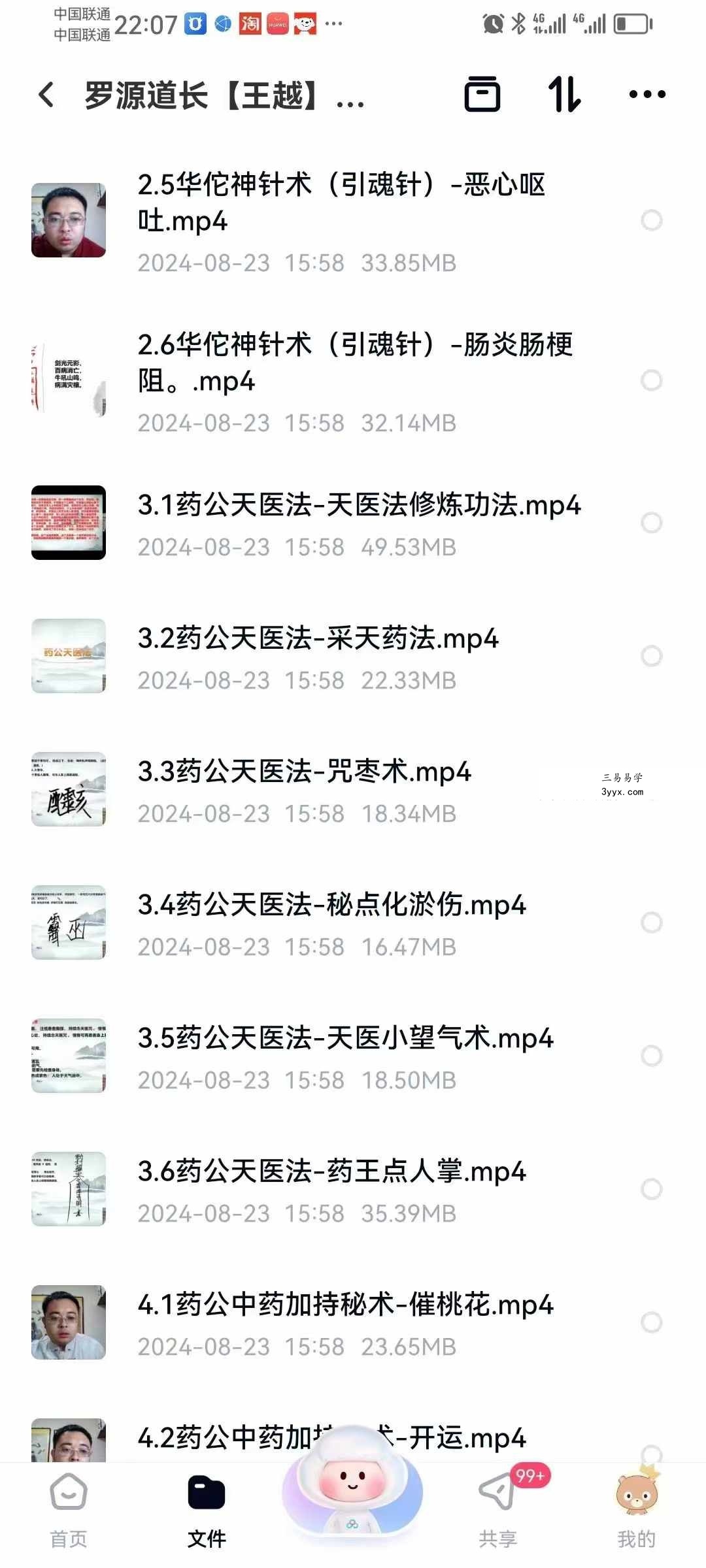 罗源道长【王越】道家秘术药公神针199网课 资料图片