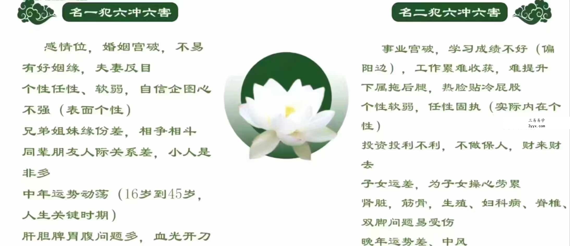 凌贺依宸汉字姓名学29集 资料图片
