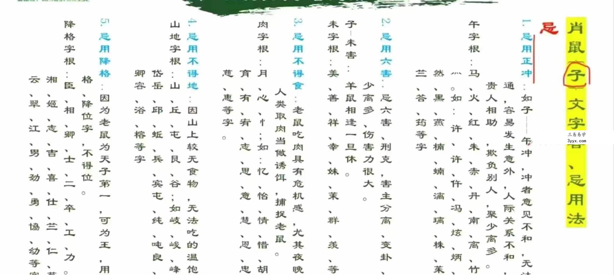 凌贺依宸汉字姓名学29集 资料图片