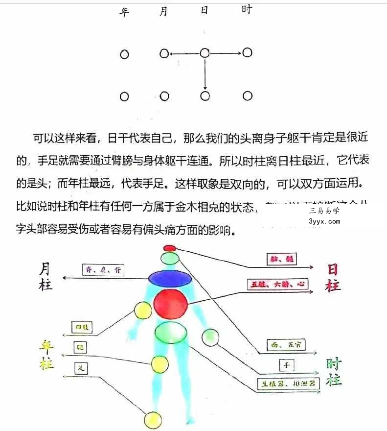 李双林 张念 子平八字讲义454页 资料图片