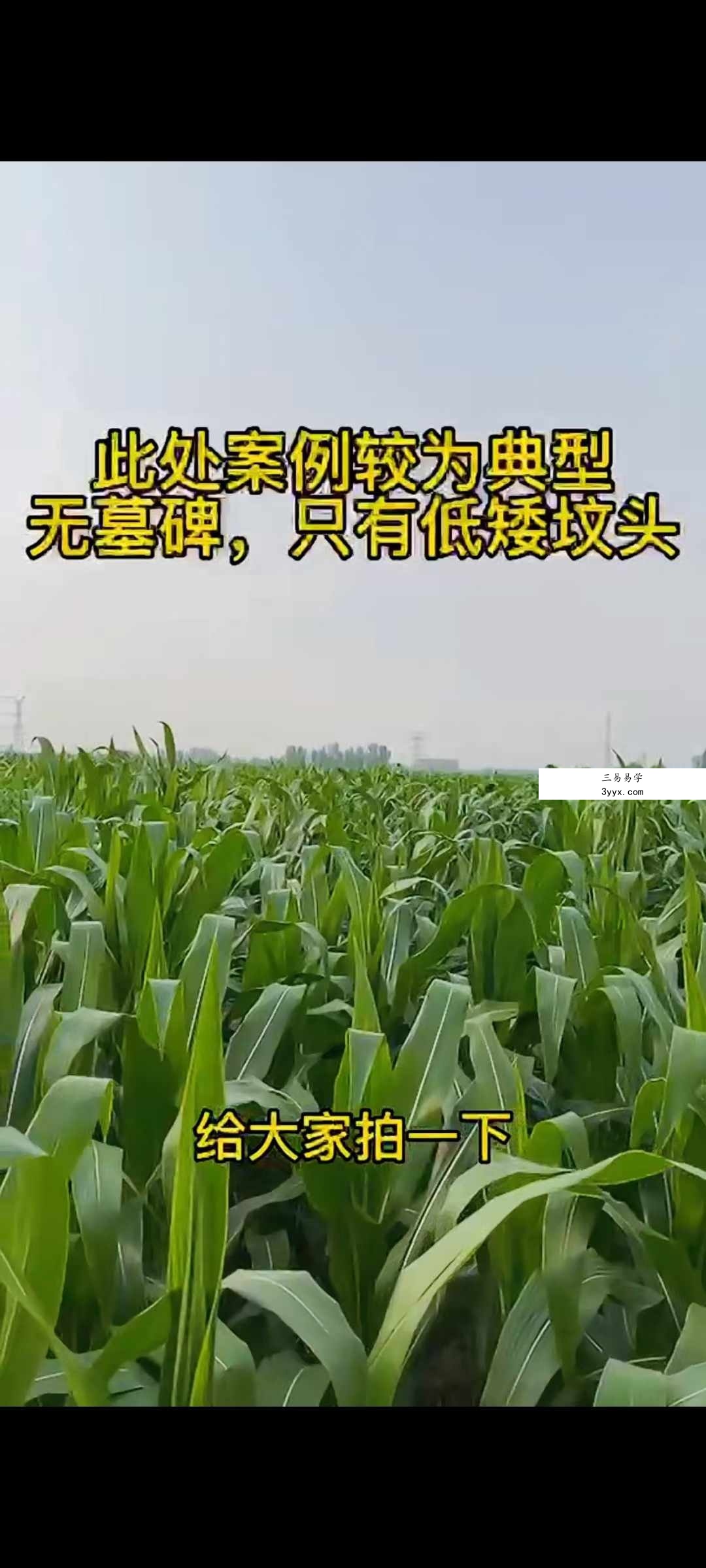 张书瑞《阴宅正式课》16集 资料图片