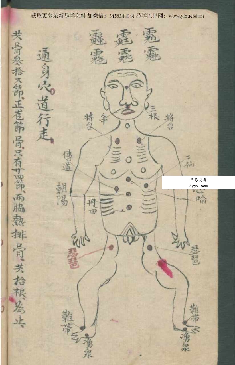 古本《华佗先师秘传》198页 切莫乱传人知也 正面图形拾八穴 资料图片