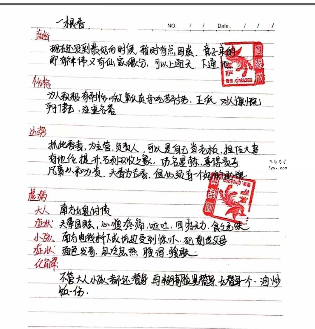 易铭文化 仙家六十四根香抓香术 打印版+手写版 资料图片