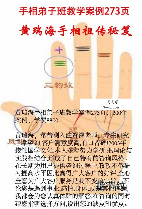 黄瑞海手相弟子班教学200个案例 273页 资料图片