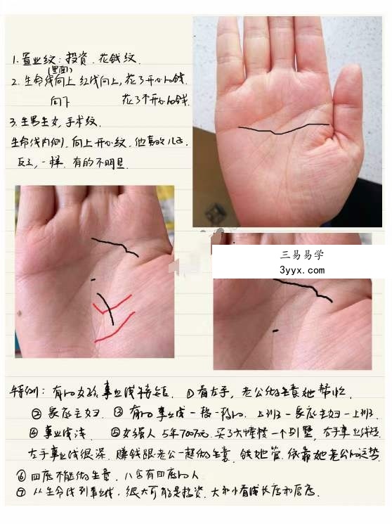 黄瑞海手相弟子班教学200个案例 273页 资料图片