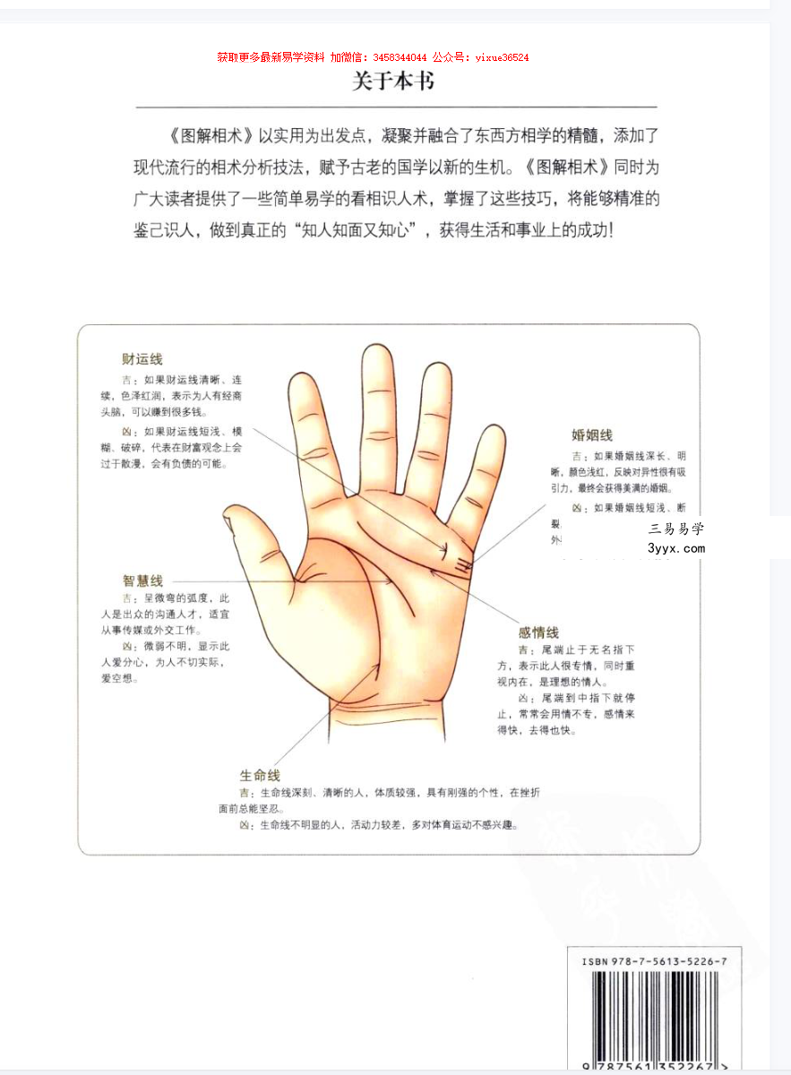 徐文祺 图解相术 468页 资料图片