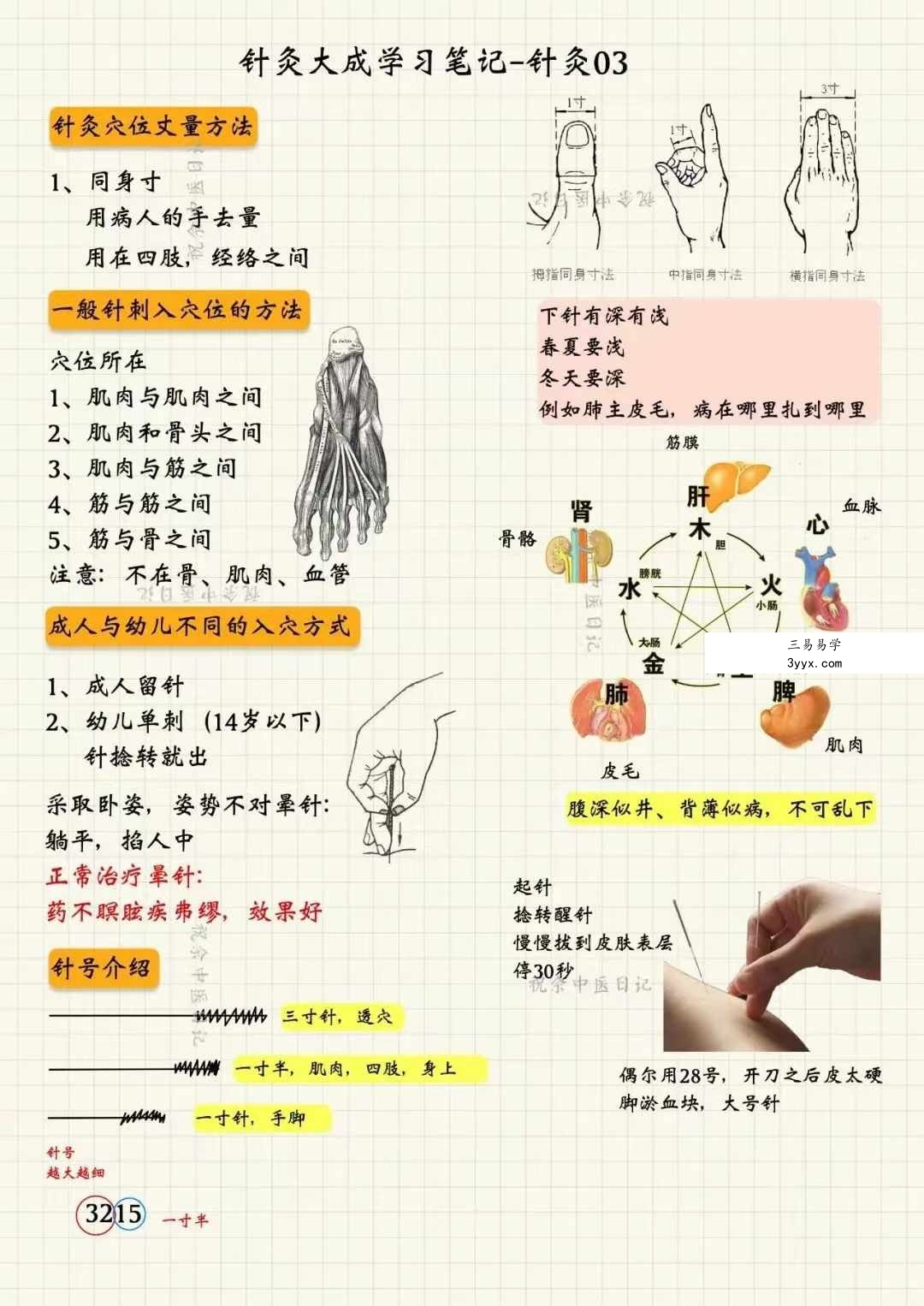 祝余《针灸大成图文笔记》68页 彩色版 资料图片