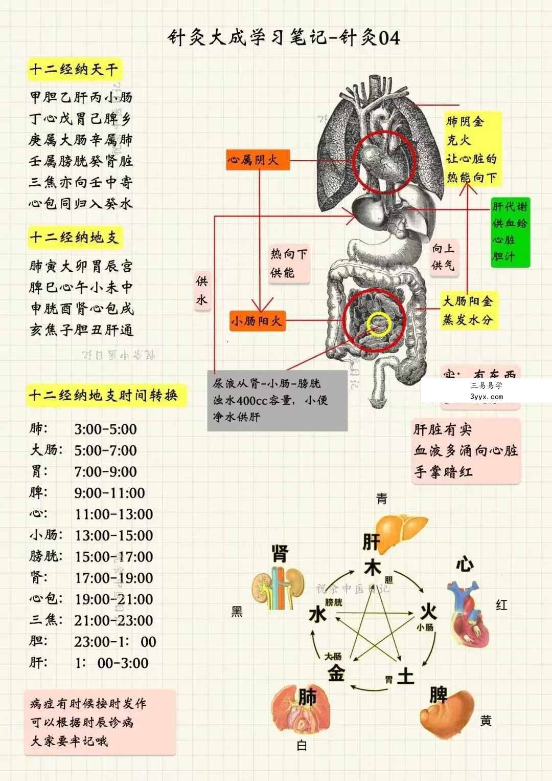 祝余《针灸大成图文笔记》68页 彩色版 资料图片