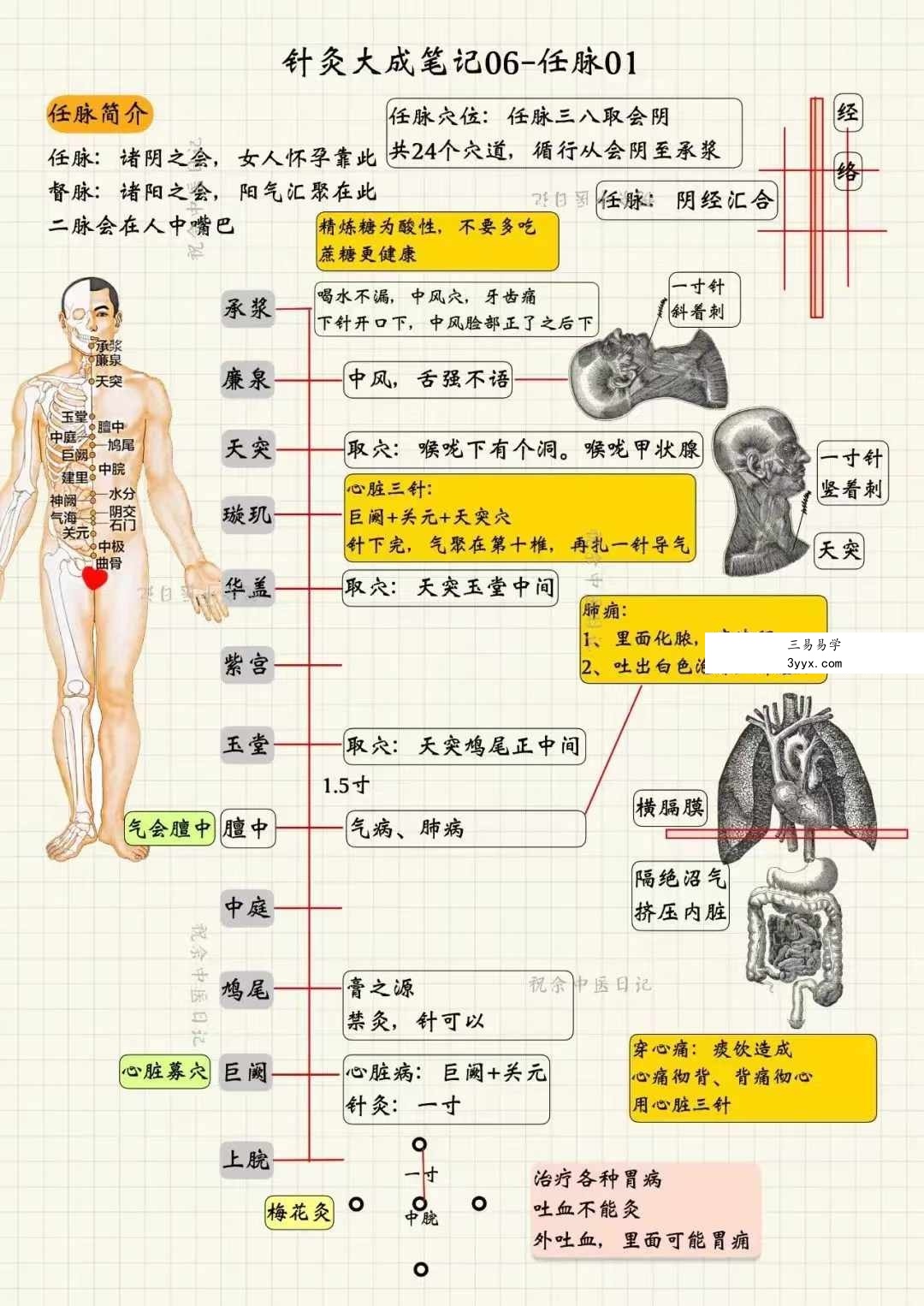祝余《针灸大成图文笔记》68页 彩色版 资料图片