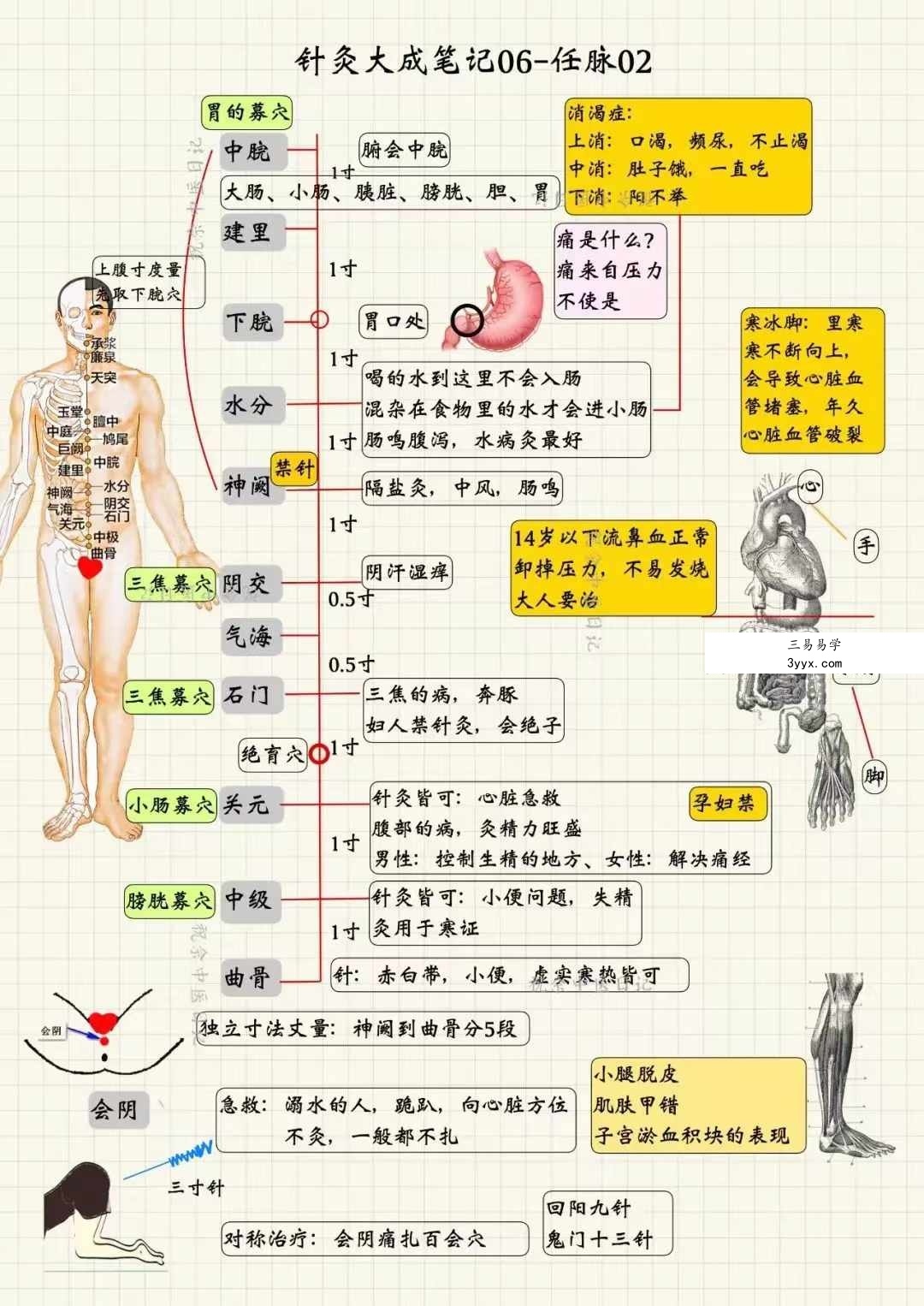 祝余《针灸大成图文笔记》68页 彩色版 资料图片