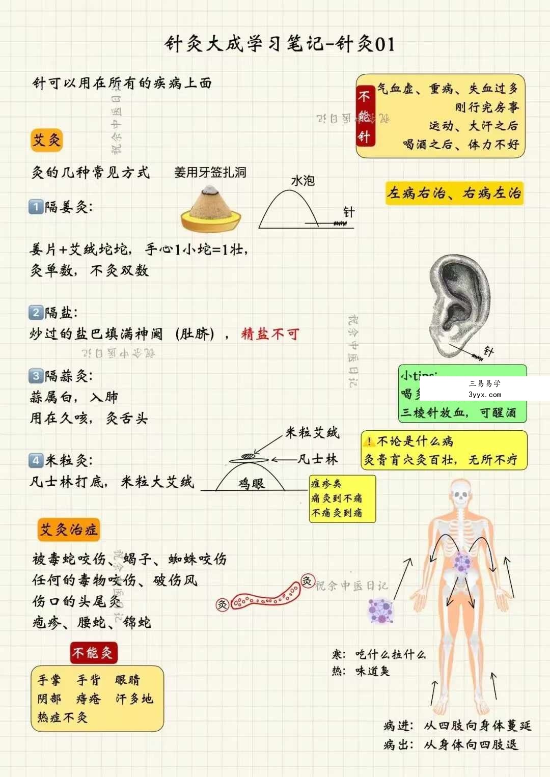 祝余《针灸大成图文笔记》68页 彩色版 资料图片