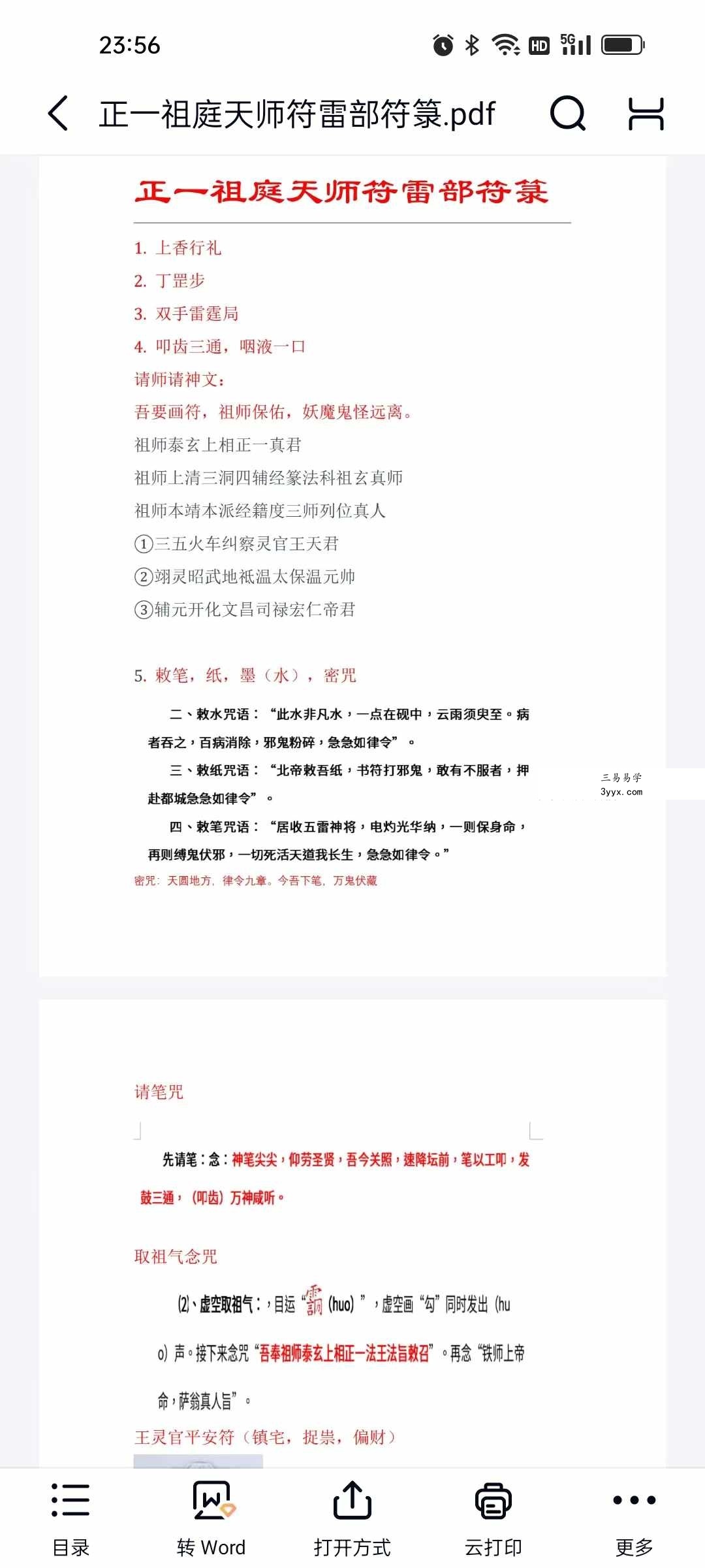 正一祖庭天师符雷部符箓21页 资料图片