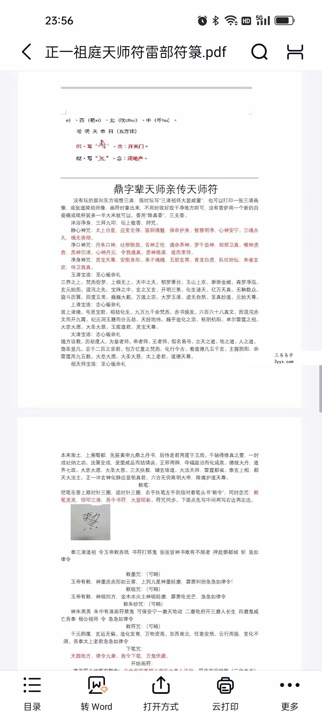 正一祖庭天师符雷部符箓21页 资料图片