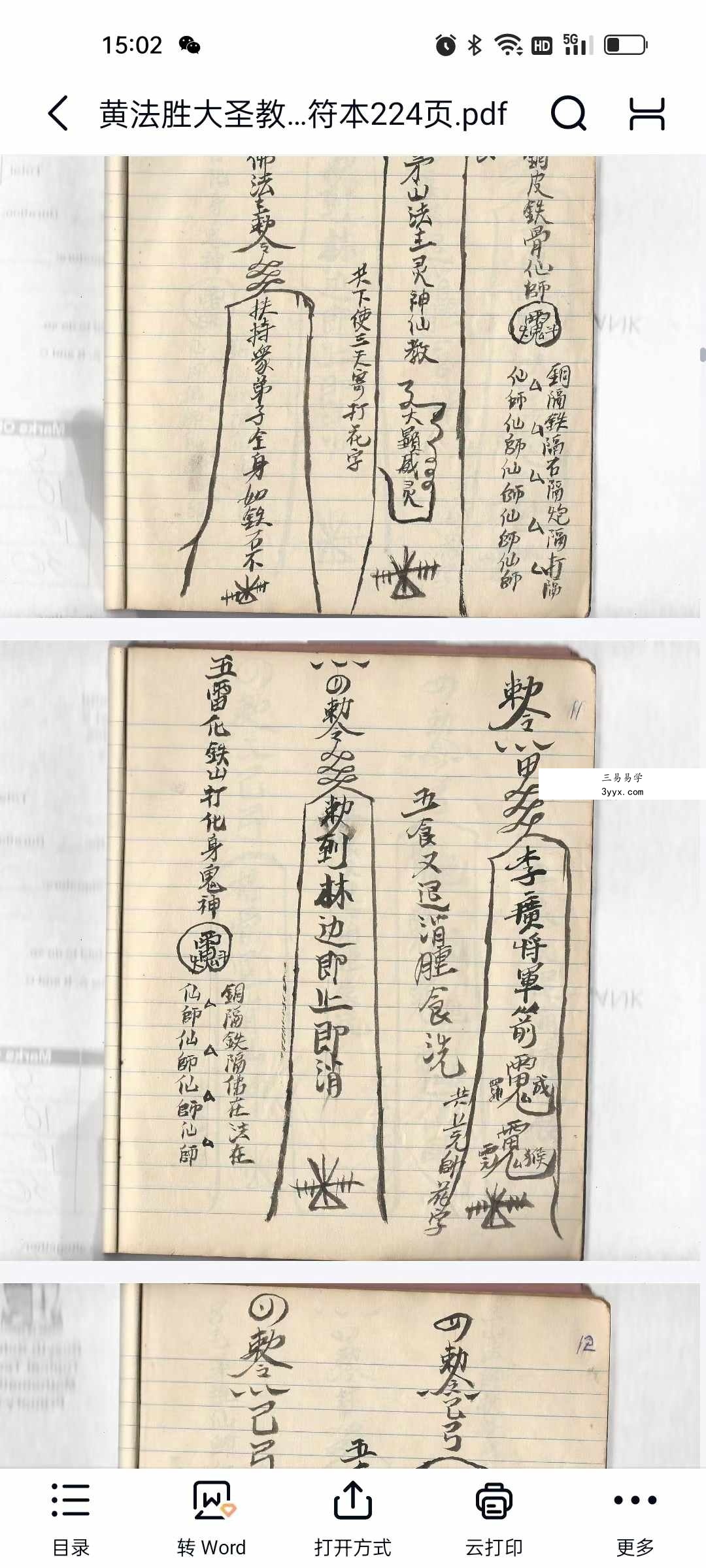 黄法胜大圣教秘传手写书符本224页 资料图片