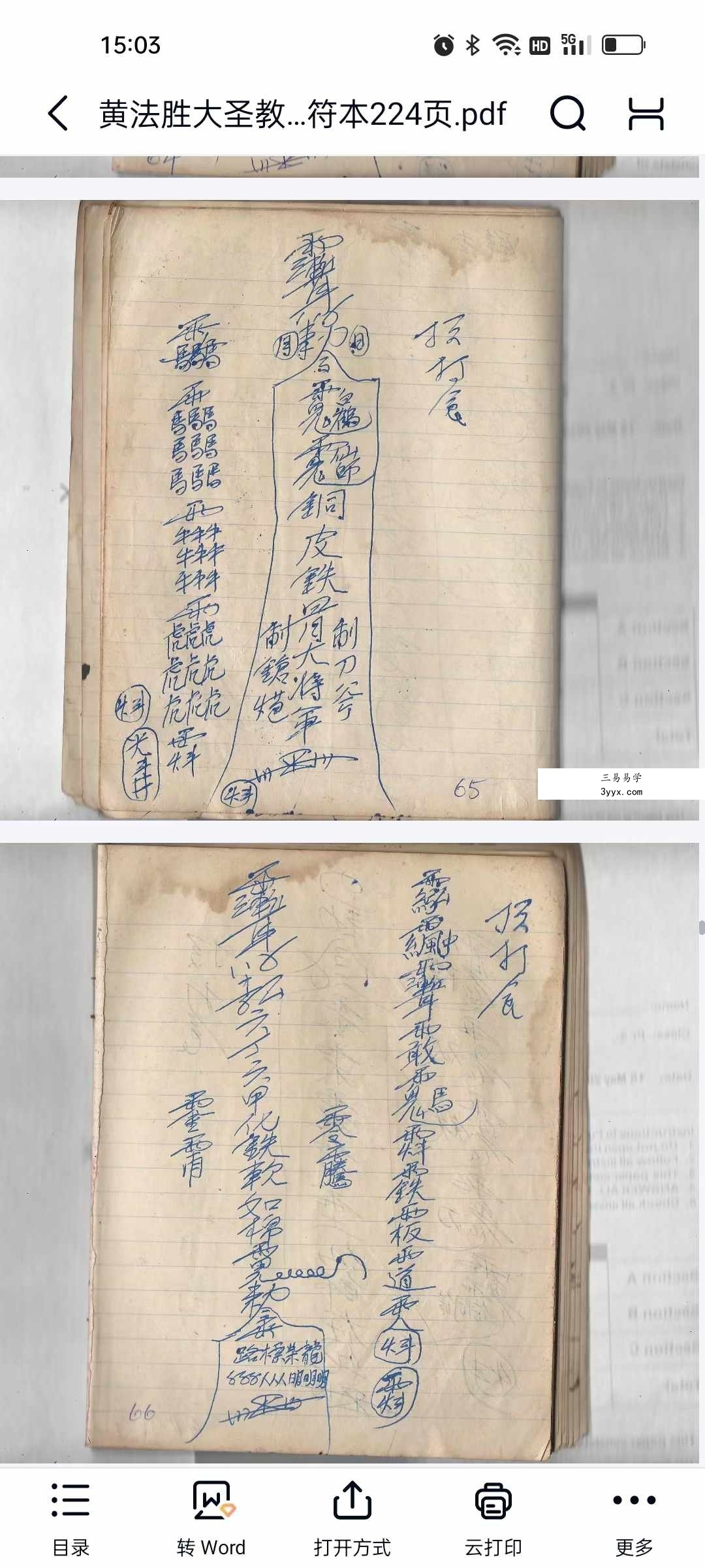 黄法胜大圣教秘传手写书符本224页 资料图片