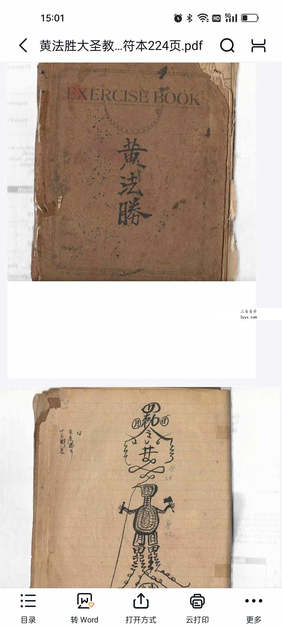 黄法胜大圣教秘传手写书符本224页 资料图片