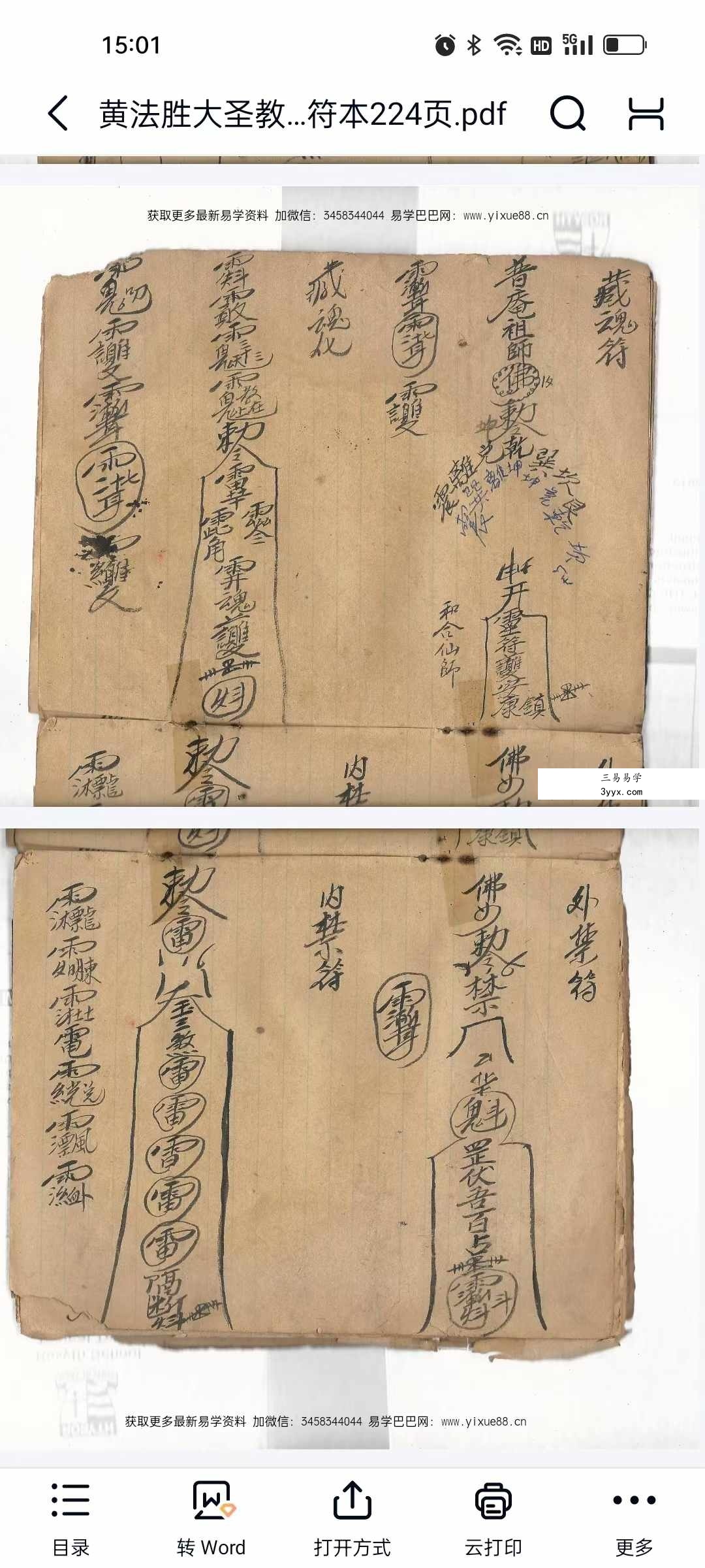 黄法胜大圣教秘传手写书符本224页 资料图片