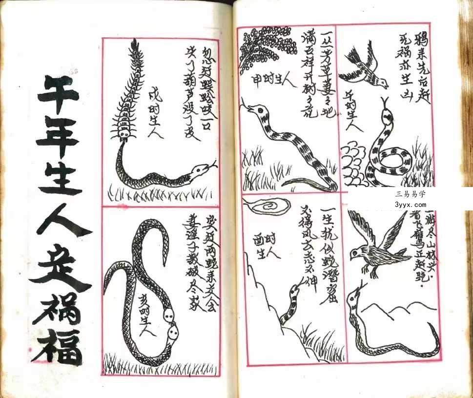 诸葛亮定人生祸福《三世演禽命里秘书》168页 资料图片