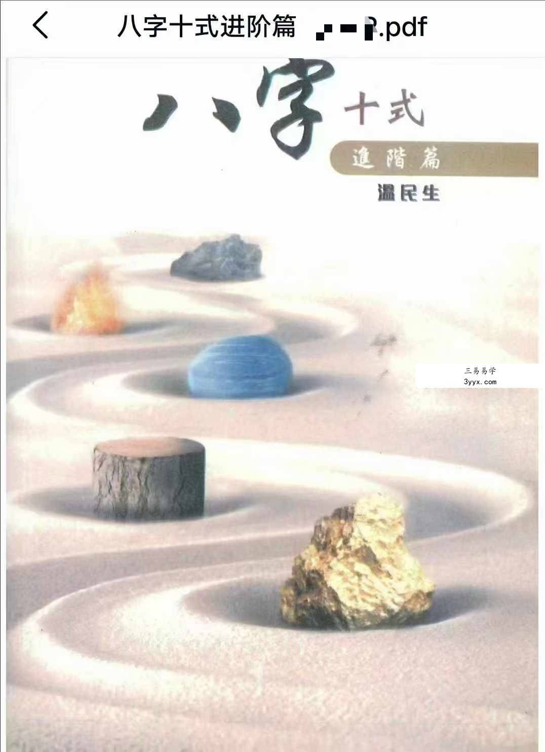 温民生 八字十式基础篇+进阶篇电子书 资料图片