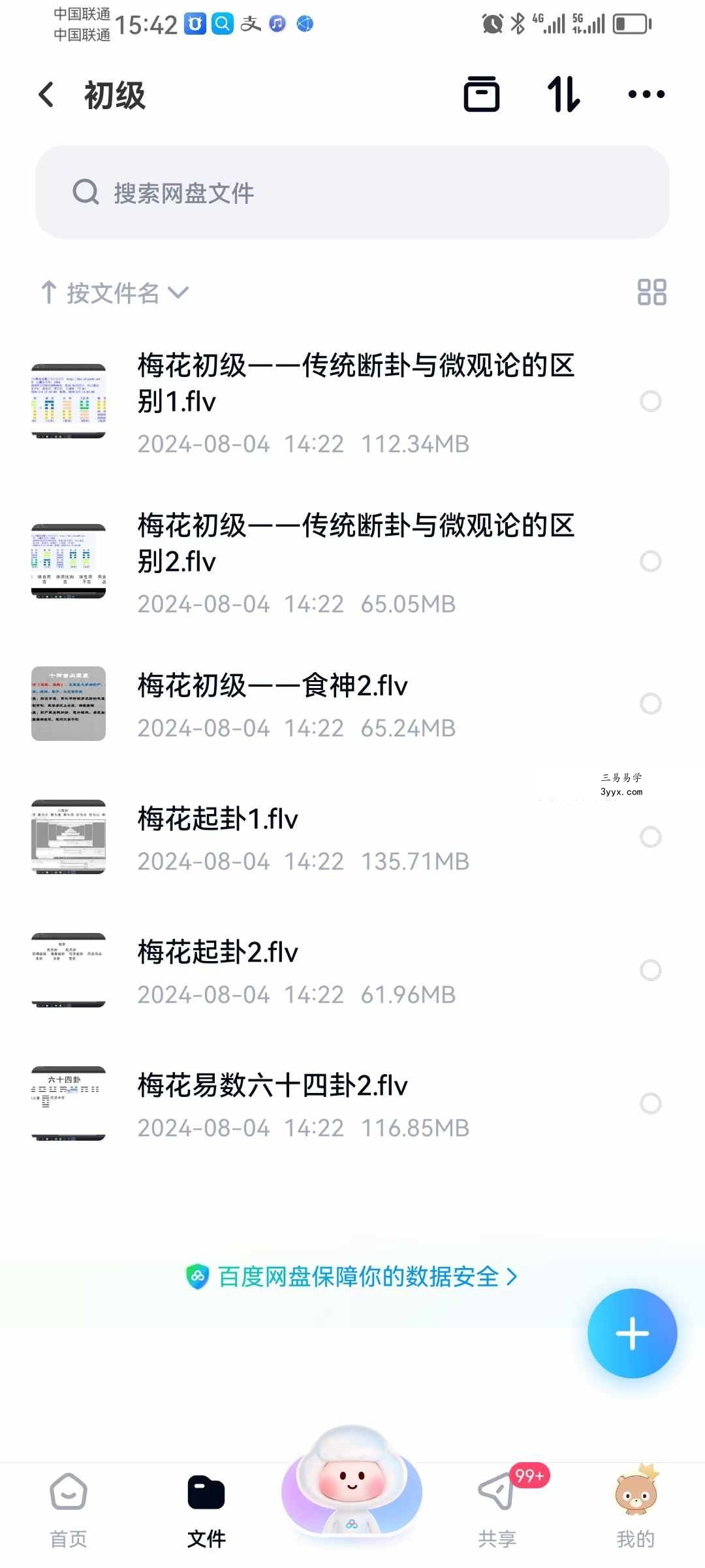 梅花易数微观论40集 基础到高级（跟传统梅花不同，注重十神干支作用） 资料图片