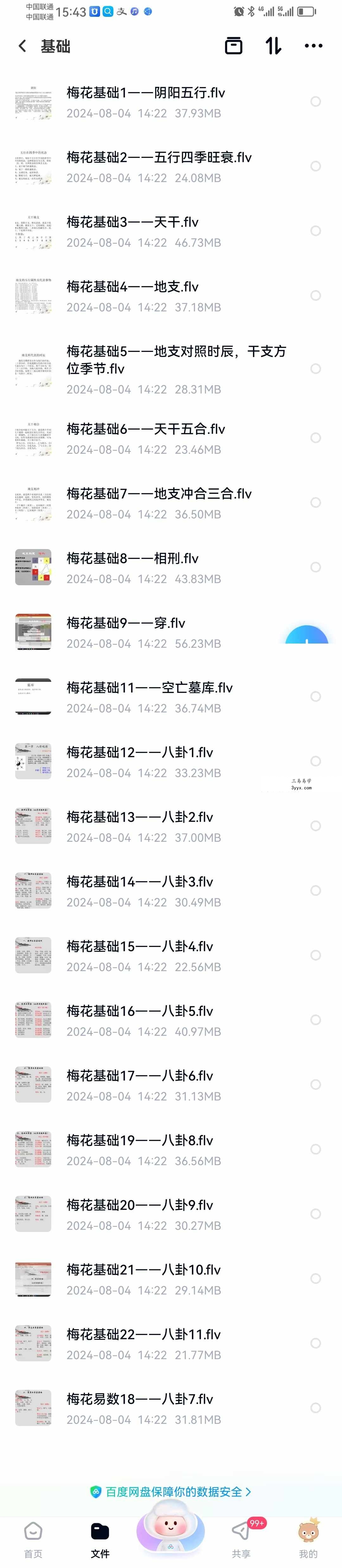 梅花易数微观论40集 基础到高级（跟传统梅花不同，注重十神干支作用） 资料图片
