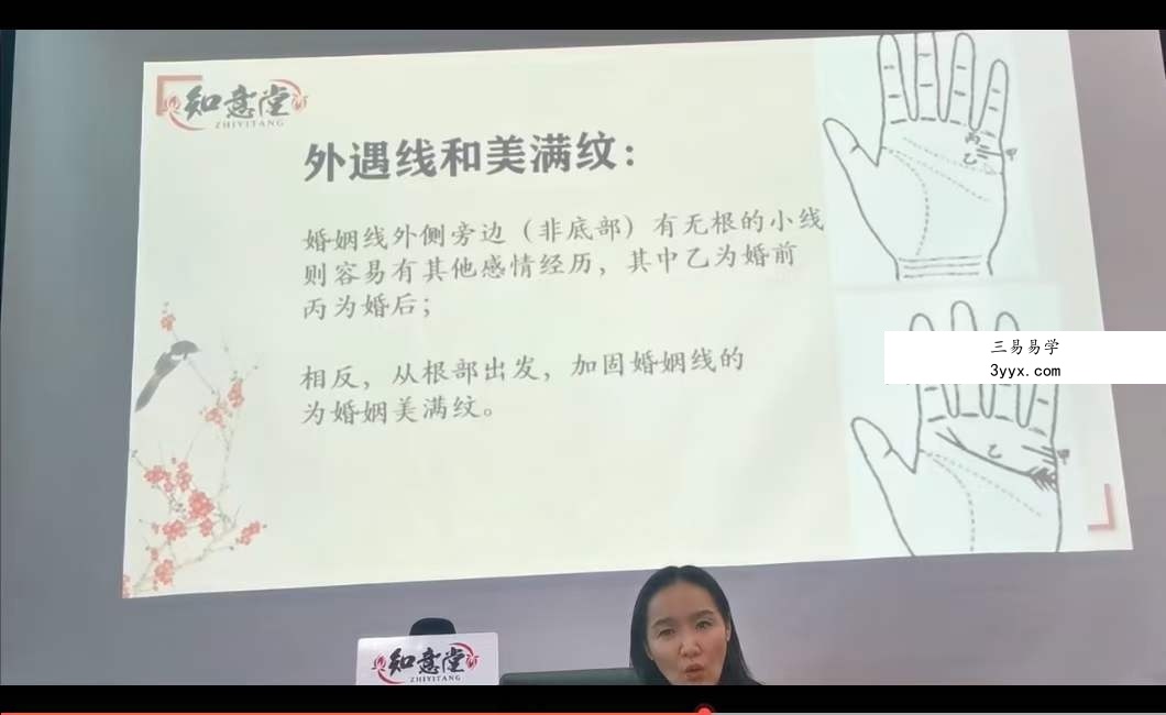 姜鲁宜《手相大师班》视频30节 资料图片