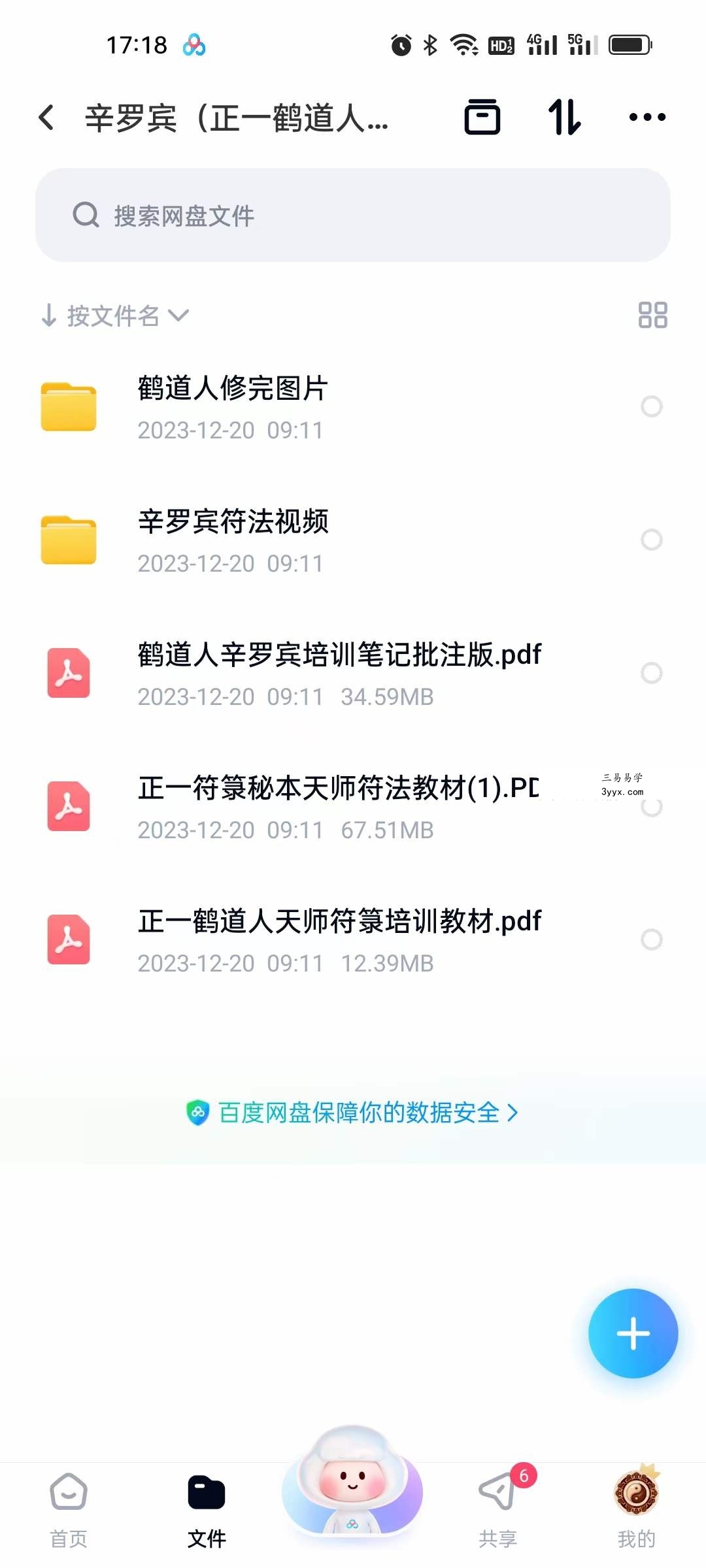 辛罗宾（正一鹤道人）符法 视频+文档 资料图片