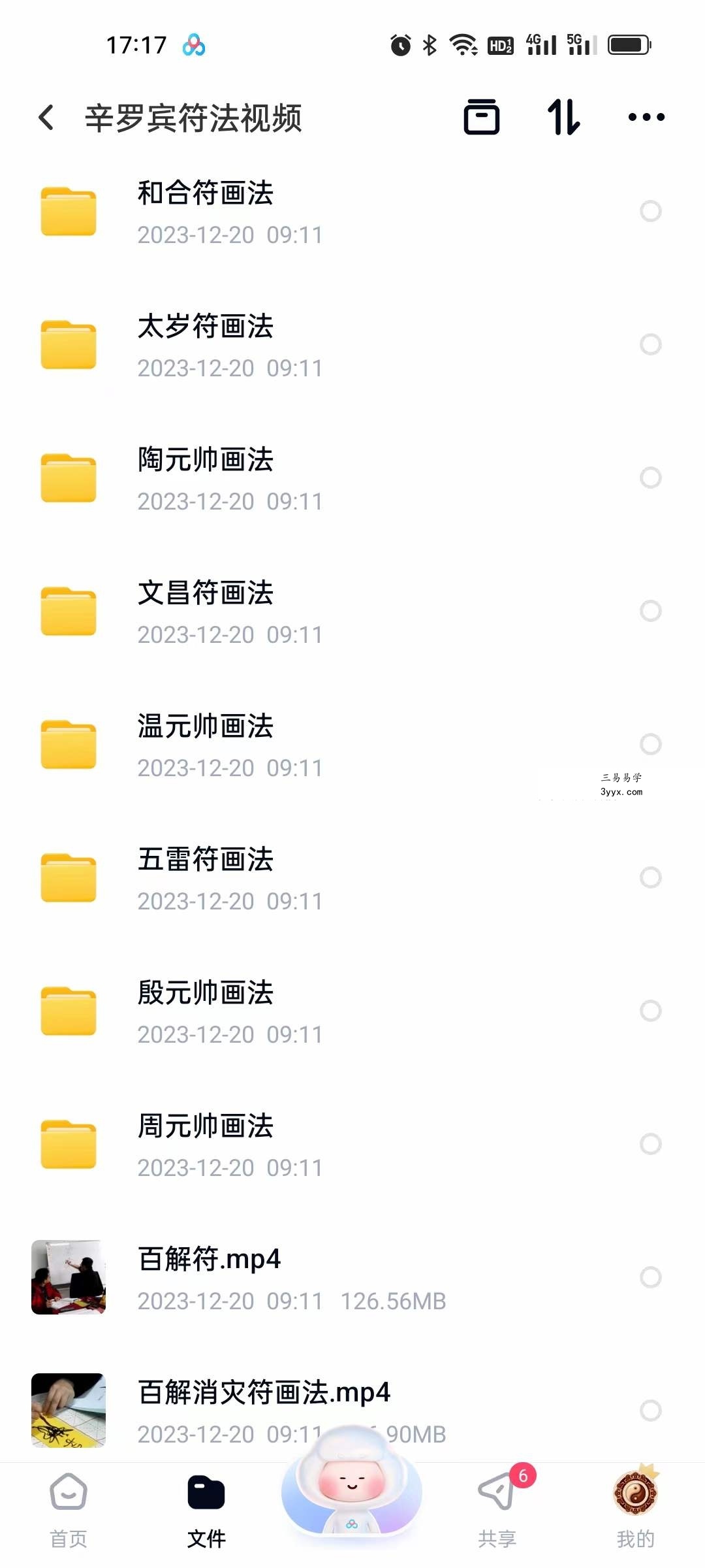 辛罗宾（正一鹤道人）符法 视频+文档 资料图片