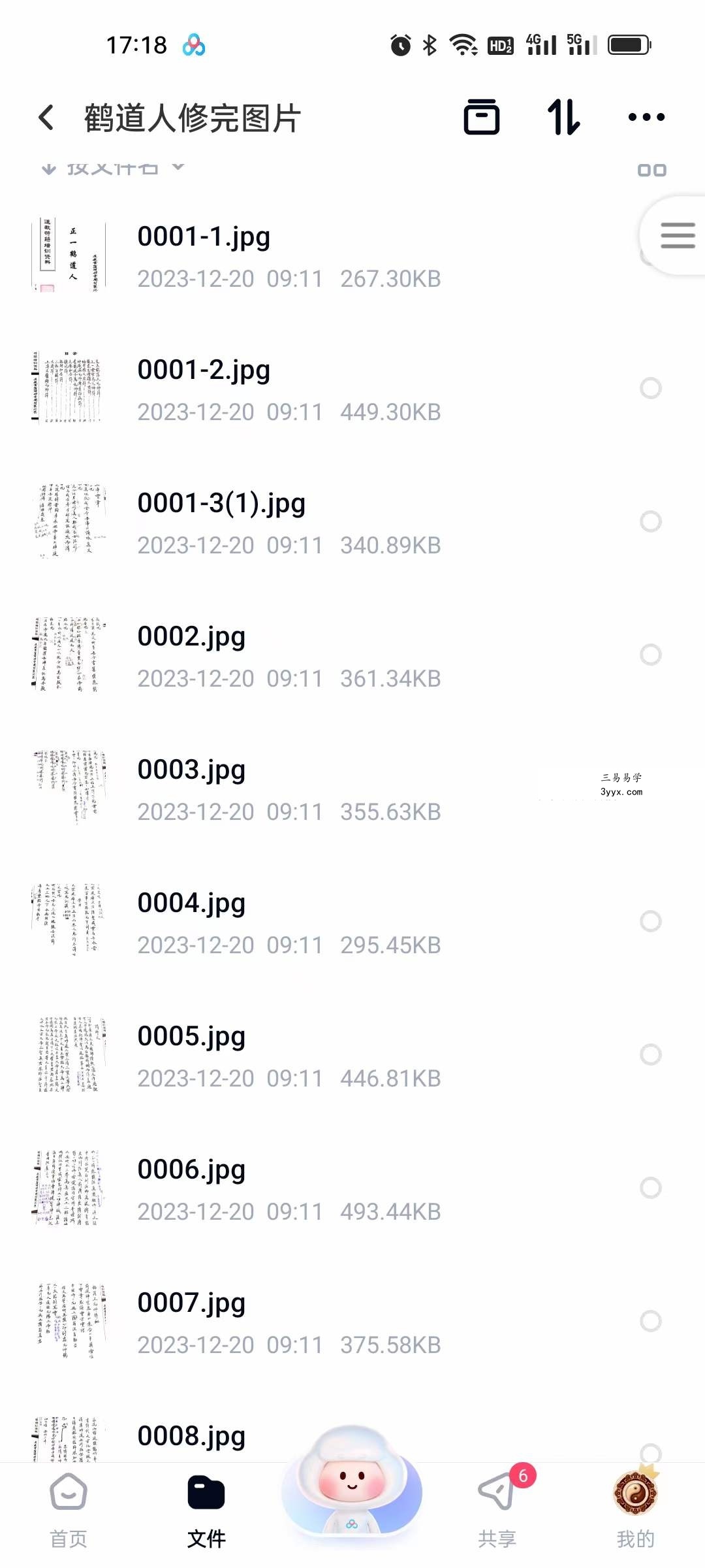 辛罗宾（正一鹤道人）符法 视频+文档 资料图片