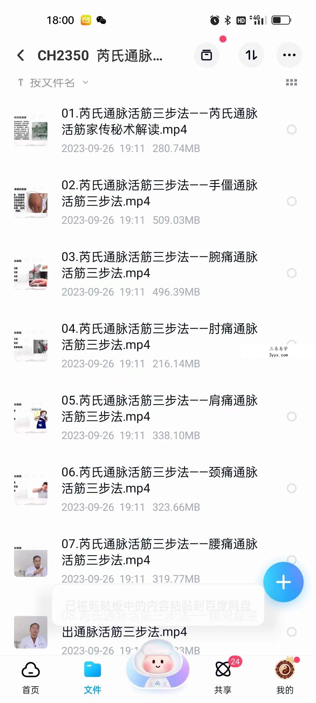 芮喜东 芮氏通脉活筋三步法12集 资料图片