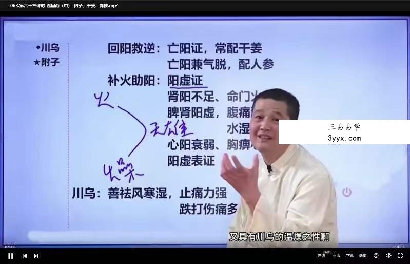吴勇军 中医师承-中药学 98集 资料图片