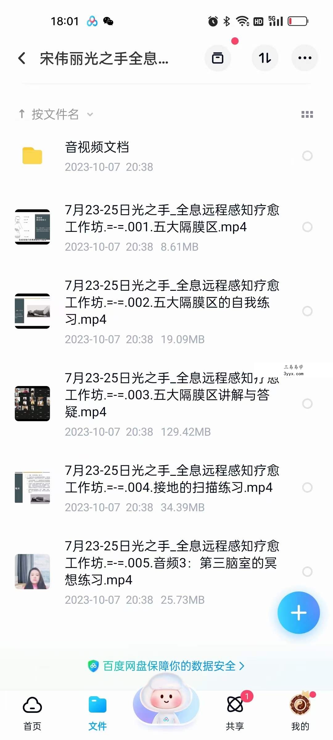 宋伟丽光之手全息远程感知疗愈工作坊 资料图片