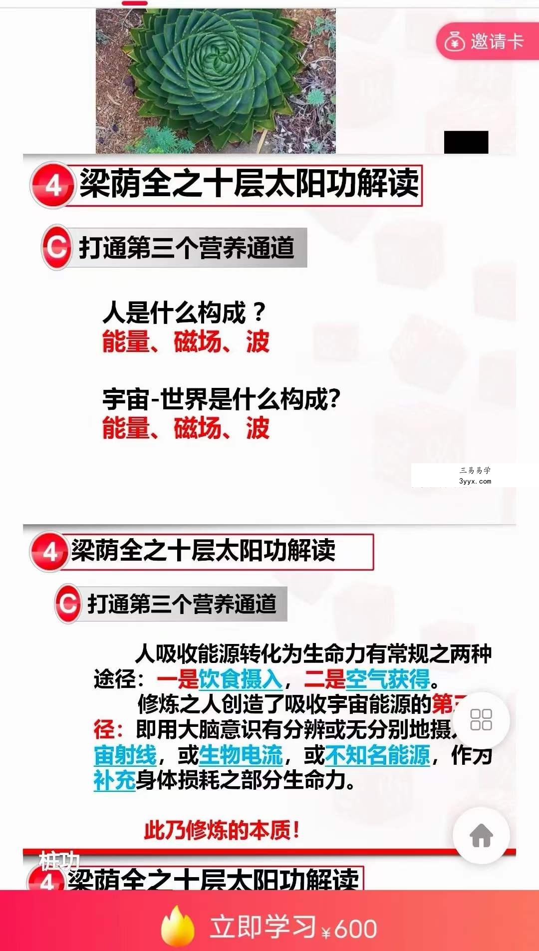 黄庭内景十层太阳桩 私教课1集 资料图片