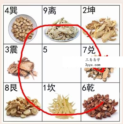 陈法灵 2023年11月26中药课资料 资料图片