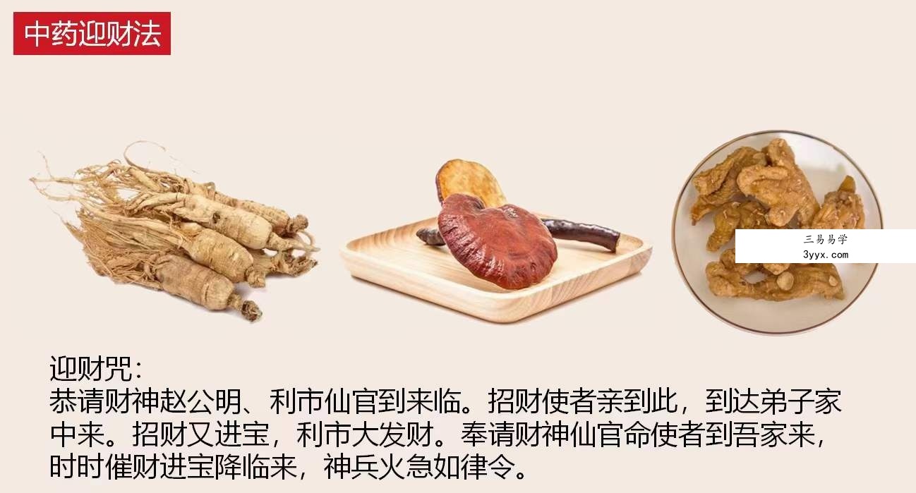 陈法灵 2023年11月26中药课资料 资料图片