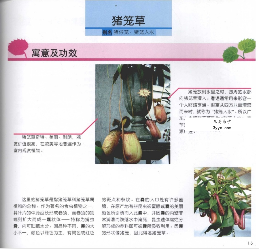 刘海涛《居家风水植物》96页 资料图片