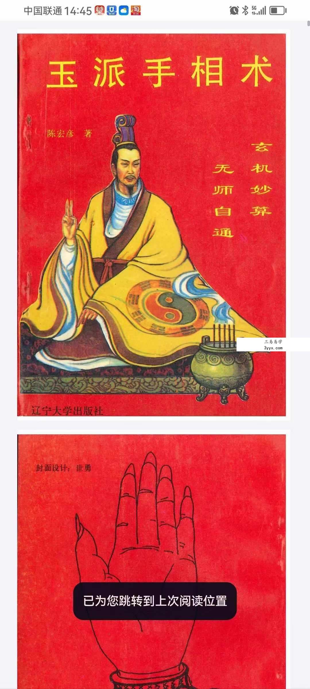 陈宏彦《玉派手相术》202页 资料图片
