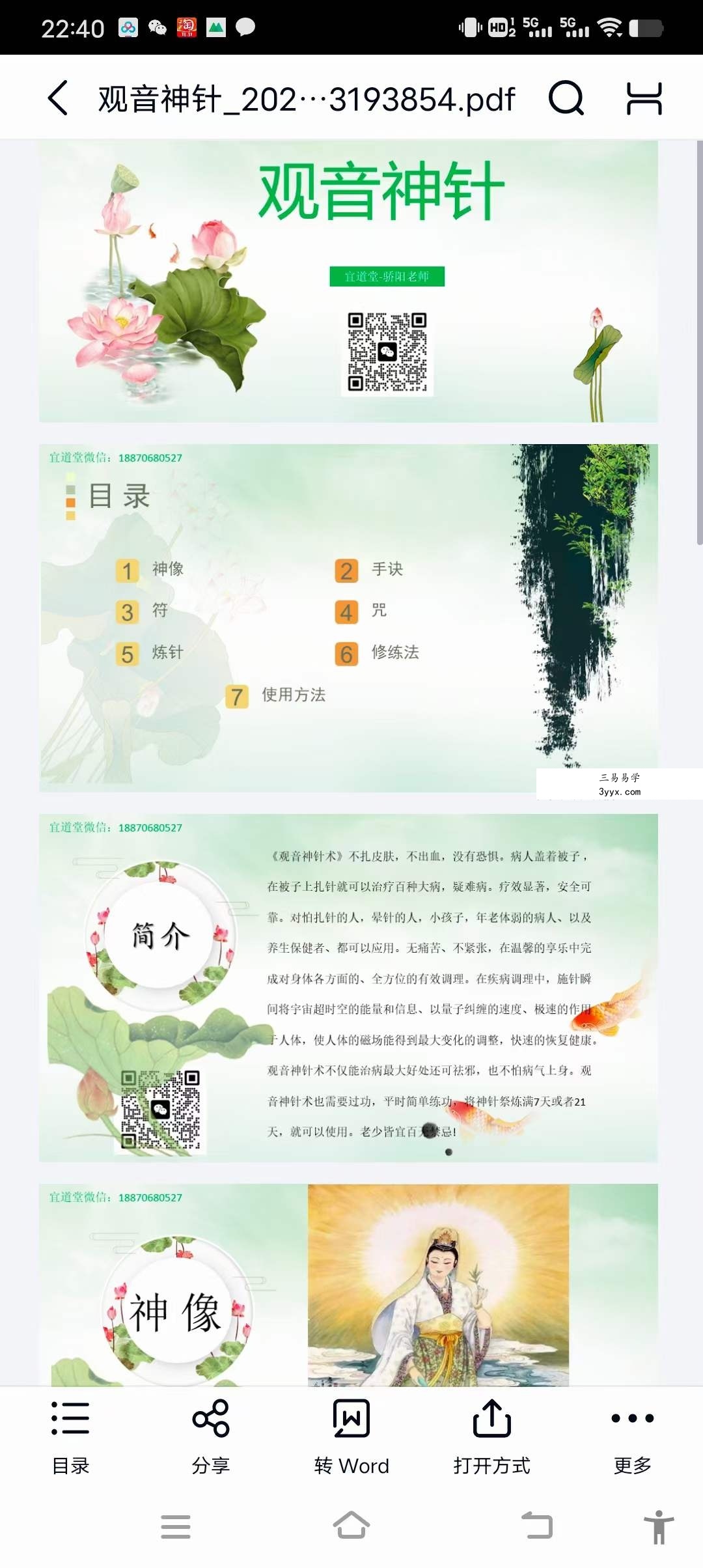 观音神针 视频+文档 资料图片