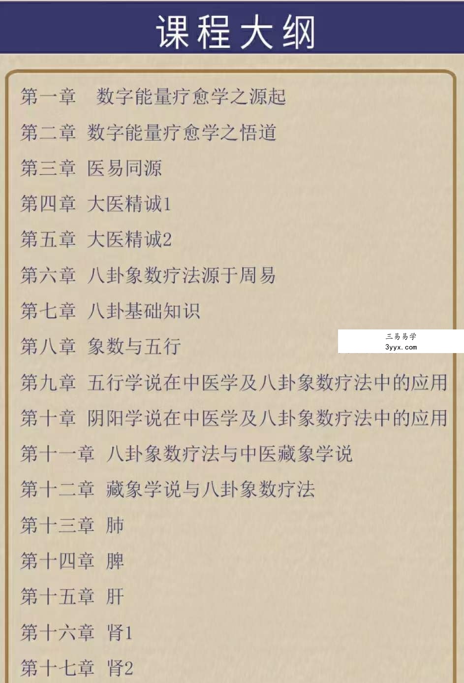 袁燊 象数疗愈学39集 资料图片