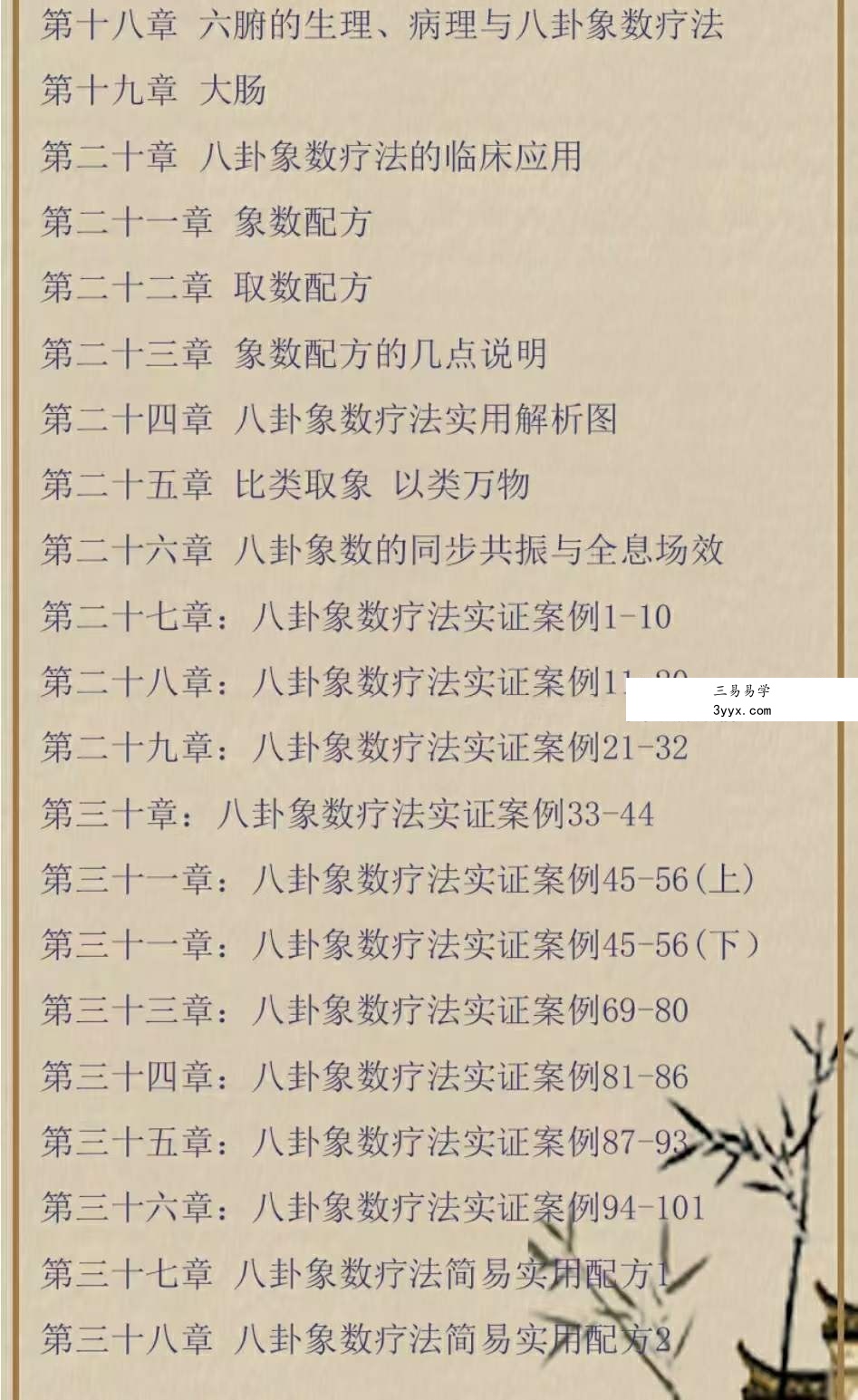 袁燊 象数疗愈学39集 资料图片