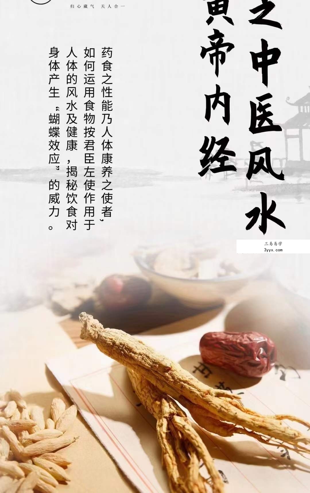陈姝妃 黄帝内经之中医风水6集 资料图片