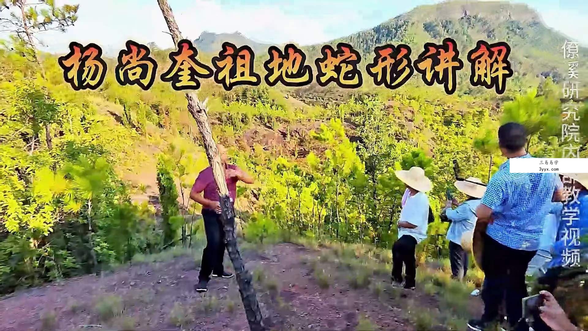 曾治瀚老师形峦教学讲解视频50集 资料图片
