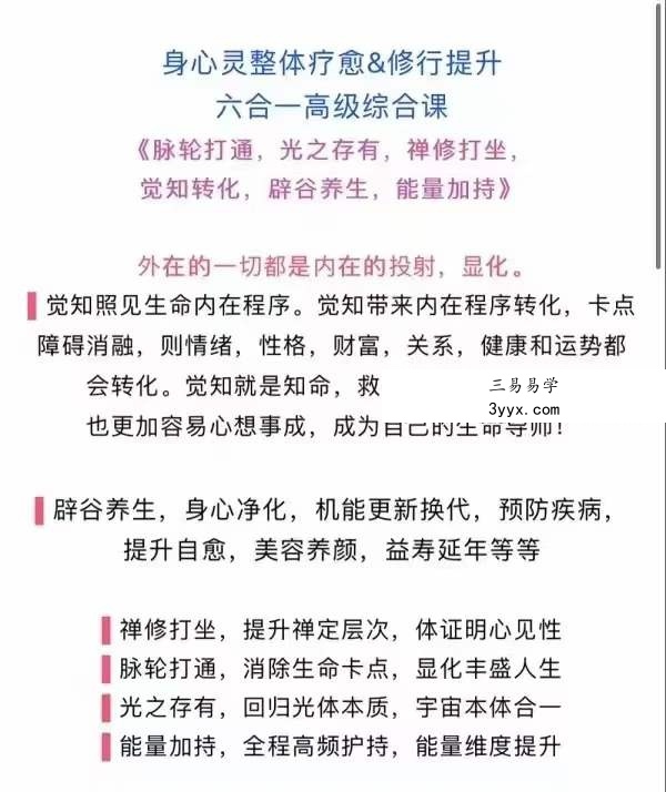心原老师 速通脉轮，禅修打坐，觉知转运，高能辟谷，光之存有，高能提升（六合一） 资料图片