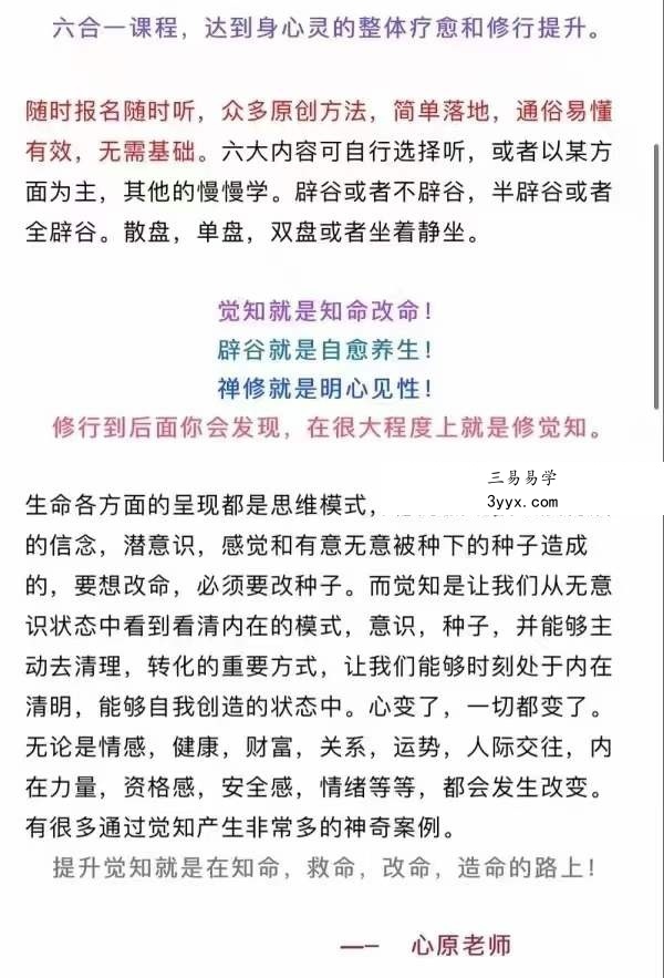 心原老师 速通脉轮，禅修打坐，觉知转运，高能辟谷，光之存有，高能提升（六合一） 资料图片