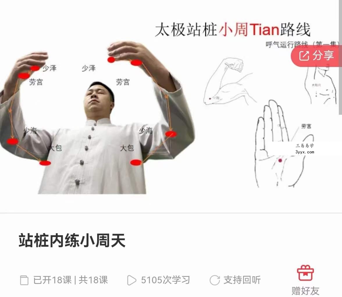 朱亚伦 太极拳站桩 站桩内练小周天18集 资料图片